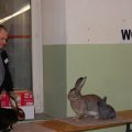 Flumserei_Ausst_2011_web_0057