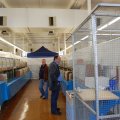 Flumserei_Ausst_2011_web_0082