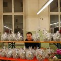 Flumserei_Ausst_2011_web_0088