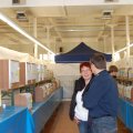 Flumserei_Ausst_2011_web_0148