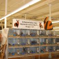 Flumserei_Ausst_2011_web_0248