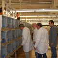 Flumserei_Ausst_2011_web_0262