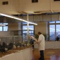 Flumserei_Ausst_2011_web_0278