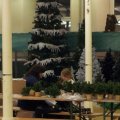 Flumsereit_2013_web_0023