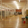 Flumsereit_2013_web_0094