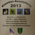 Flumsereit_2013_web_0108