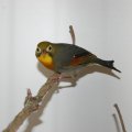 Flumsereit_2013_web_0143