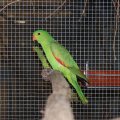 Flumsereit_2013_web_0144