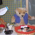 Flumsereit_2013_web_0158