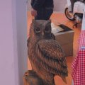 Jubi_ausst_2017_web_0014