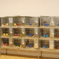 Jubi_ausst_2017_web_0025
