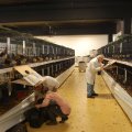 Jubi_ausst_2017_web_0027