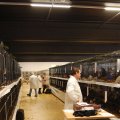 Jubi_ausst_2017_web_0039