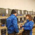 Jubi_ausst_2017_web_0047