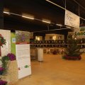 Jubi_ausst_2017_web_0070