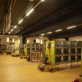 Jubi_ausst_2017_web_0071