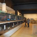 Jubi_ausst_2017_web_0073