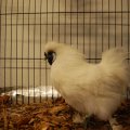Jubi_ausst_2017_web_0083