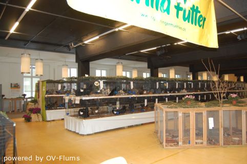 twg_slideshow