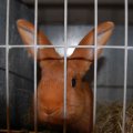 Jubi_ausst_2017_web_0089
