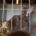 Jubi_ausst_2017_web_0090