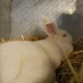 Jubi_ausst_2017_web_0091