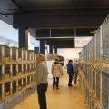 Jubi_ausst_2017_web_0103