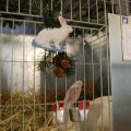 Jubi_ausst_2017_web_0106