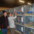 Jubi_ausst_2017_web_0117