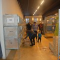 Jubi_ausst_2017_web_0166