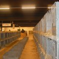 Jubi_ausst_2017_web_0173