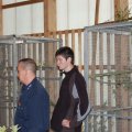 Animalia_2012_web_0021