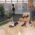 Animalia_2012_web_0025