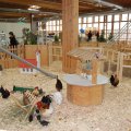Animalia_2012_web_0035