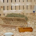Animalia_2012_web_0037