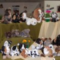 Animalia_2012_web_0040
