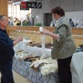 Animalia_2012_web_0041
