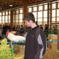Animalia_2012_web_0044