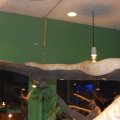 Animalia_2012_web_0047
