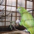 Animalia_2012_web_0059