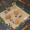Animalia_2012_web_0064