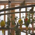 Animalia_2012_web_0079