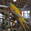 Animalia_2012_web_0080