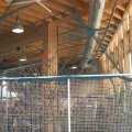 Animalia_2012_web_0081