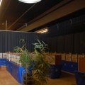 CH_meister_Kanarien_2013_web_0015
