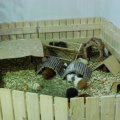OLMA_2011_web_0008