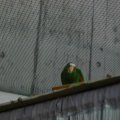 OLMA_2011_web_0010