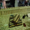 OLMA_2011_web_0011