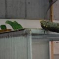 OLMA_2011_web_0012