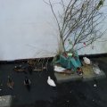 OLMA_2011_web_0016